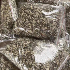 Premium dipilih tangan daun <span class=keywords><strong>Mugwort</strong></span> liar yang dipilih dengan cermat & berumur tiga tahun bahan Herbal alami untuk perawatan kaki yang efektif - Product Image 5