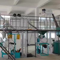 2026 Nieuwe Automatische BTMA Palmolielijn Kleine Palmvruchtenolieproductielijn Palmoliemolen