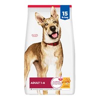 Probiotiques et enzymes digestives pour chiens OEM/ODM pour la santé intestinale 500g Durée de conservation de 2 ans