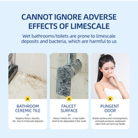 Nettoyant pour toilettes chinois écologique du fournisseur professionnel Détergent liquide multi-usages pour salle de bain