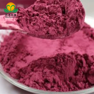 Более низкая цена и горячий продавать порошок корня свеклы - Product Image 6