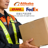 FCL Fast Door USA Europe Services logistiques Fournisseur de services logistiques Expédition FBA Agent transitaire Inspection LCL+Transport routier Logistique Chine
