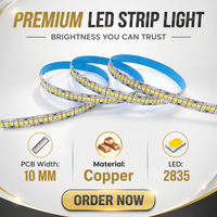 Bande lumineuse LED haute densité 240 LED/m SMD2835 10 mm DC12V découpable