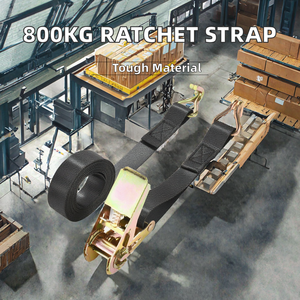 Correa de Amarre de Carga de PE de 25 mm y 800 kg con Gancho Sin Fin, Certificación ISO 9001, Personalización Rápida, Precio Mayorista - Product Image 2