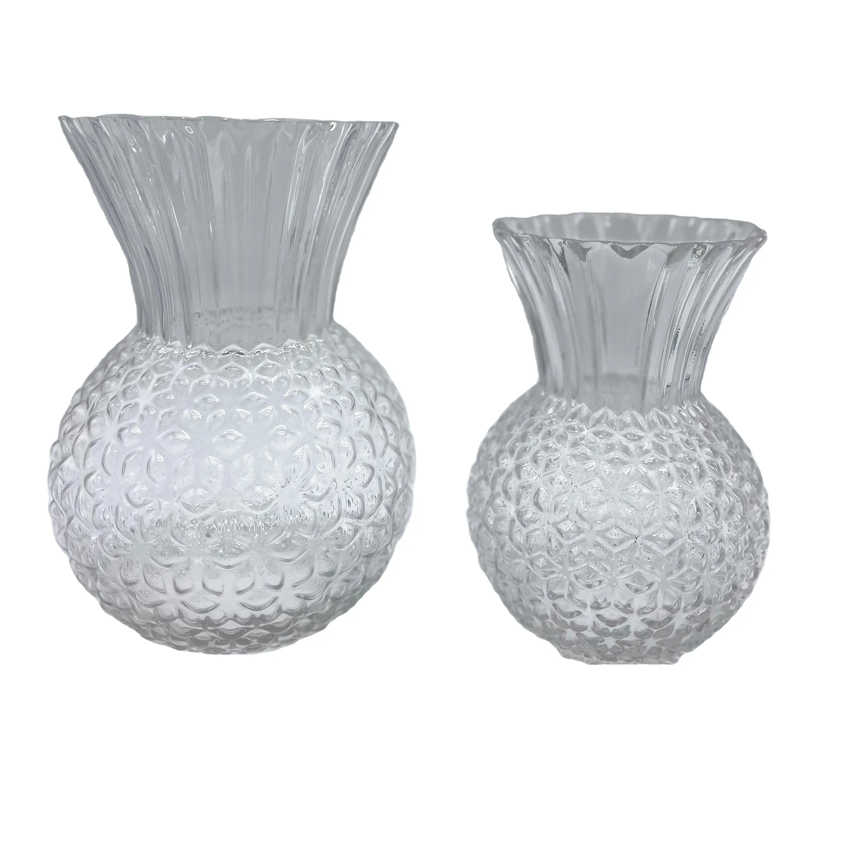 Lớn đặc biệt hình rõ ràng Glass Flower Vase Đối với trang trí nội thất