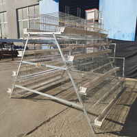 Ferme avicole pour animaux d'élevage de poules pondeuses en batterie Cages à poules pondeuses pour poulailler