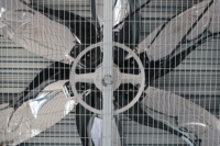 Ventilateur de refroidissement d'évacuation pour serre avicole à ventilation industrielle, lame en acier inoxydable, ventilateur axial à courant alternatif