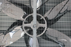 <span class=keywords><strong>Ventilateur</strong></span> de refroidissement d'évacuation pour serre avicole à ventilation industrielle, lame en acier inoxydable, <span class=keywords><strong>ventilateur</strong></span> axial à courant alternatif - Product Image 4