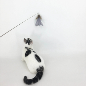 Novo telescópico pólo teaser telescópico duas seções punho de madeira gato brinquedos pena substituível cabeça pesca tipo gato teaser vara - Product Image 6