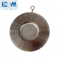 Katup Periksa Wafer Ayun Manual DN100 DN150 Baja Tahan Karat JM Garansi 1 Tahun untuk Sistem Media Transfer Panas Air Batubara Gas Minyak