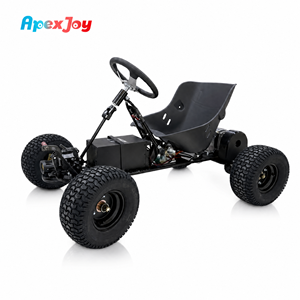 ApexJoy Highway-1000W, Motor Central, 85 km/h, Cuadro Flexible, Compatible con Aplicaciones, Alquiler Disponible - Product Image 1