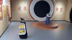 Voce intelligente prezzo di fabbrica e tecnologia guida autonoma robot per il saluto di benvenuto servizio di ricezione Robot - Product Image 6