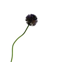 Boule d'oignon artificielle courbée unique en plastique pour arrangement floral, idéale pour les centres commerciaux, jardins intérieurs/extérieurs