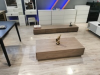 Ensemble Table Basse Meubles de Salon Design Simple Meuble TV Meuble Télévision en Bois