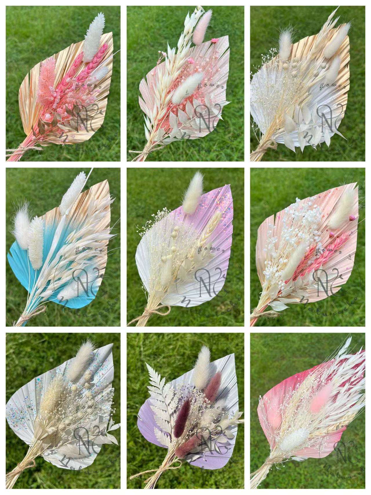 ตัวเลือก1