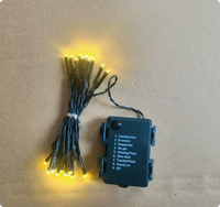 Guirlande lumineuse LED de Noël alimentée par piles 3AA, étanche, pour extérieur/intérieur, ligne verte encre, guirlande lumineuse décorative