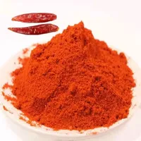 Poudre de piment de marque Xinglong, 20 kg/sac, origine Henan, Chine, durée de conservation de 2 ans