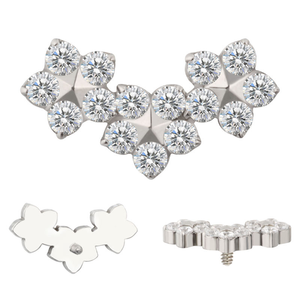 Astm F136 Implantaat Kwaliteit Titanium Gepolijst Goud Labret Neus <span class=keywords><strong>Septum</strong></span> Ring Helix Kraakbeen Oorbel Titanium Piercing Sieraden - Product Image 3