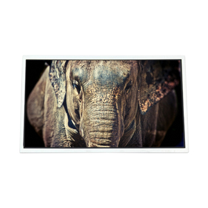 Écran LCD TFT LCM 32,0 pouces 2560RGB*1440 Quad-HD  93PPI MV315QHM-NF0, nouvel écran LCD d'origine pour moniteur de bureau - Product Image 1
