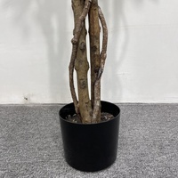 Arbre artificiel Ficus variegatus, plante artificielle Banyan variegata avec feuillage à bords blancs pour intérieur, maison, bureau, plusieurs tailles