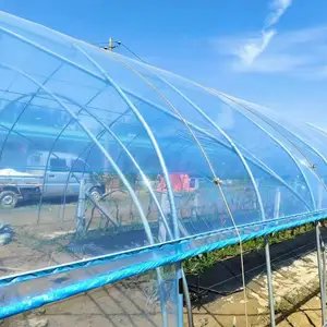 2024 single span film tunnel greenhouse accessories made in China