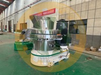 Service après-vente longue durée, dernier modèle 560E, machine à granulés de bois biomasse 160KW