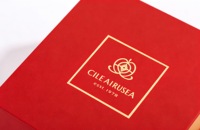 Diffuseur de parfum écologique personnalisé avec gaufrage et papier artistique – Distributeur de parfum cosmétique tendance