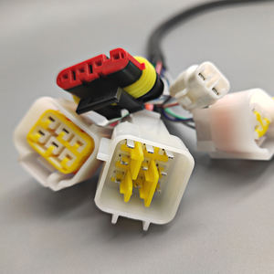 Dapat Disesuaikan Aksesori MS3Pro ECU MS3Pro Harnes Pusat Utama - Product Image 4