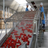 Ligne de production de sauce concentrée de tomates entièrement automatique, petite, avec emballage aseptique, Brix 28-30/36-38, capacité 1-50TH