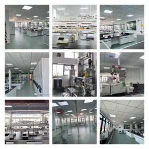 Sertifikat HALAL rasa buah Calamansi Concentrate Calamansi ekstrak Liquid Orange konsentrat cair rasa oranye - Product Image 4