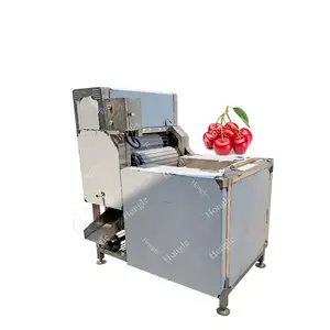 Автоматическая машина для чистки цитрусовых/машина для резки яблок из нержавеющей стали для продажи