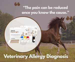 Anitia equine IgE II ชุดทดสอบสัตวแพทย์สำหรับโรคภูมิแพ้ม้า60สารก่อภูมิแพ้การวิเคราะห์การตอบสนองภูมิคุ้มกัน - Product Image 2