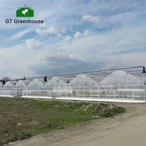 GT Shade System Green House Outdoor Multi-span Greenhouse Agricultural Equipment Hydroponic System