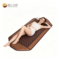 Jiwan Lejia Vente en gros de coussin chauffant personnalisé en tourmaline pour centre de spa