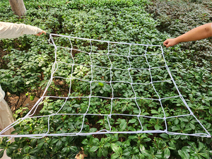 Enrejado elástico de red Scrog con ganchos Soporte para plantas para jardín - Product Image 4