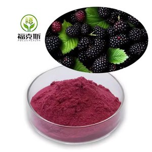 โรงงานผลิตผงผลมัลเบอร์รี่ ขายส่งผงน้ำผลไม้มัลเบอร์รี่ สารสกัดจากพืชคุณภาพพรีเมียมเพื่อสุขภาพและความเป็นอยู่ที่ดี - Product Image 3