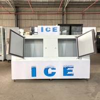 Congélateur commercial à 2 portes grande capacité pour glace en sac, avec système de refroidissement par air, idéal pour les magasins de proximité, bars et restaurants
