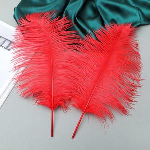 30-35Cm Bán Buôn Chất Lượng Cao Nhuộm Đa-Màu Sắc Mịn Fluffy Giá Rẻ Lớn Đà Điểu Lông Trắng 15-75Cm Lông Cắt Vải - Product Image 3