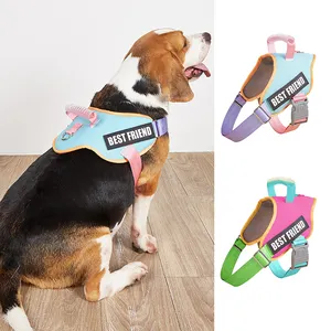 Customized Dog Harnesses Popular Light-weight Personalized Dog Harness Luxury Adjustable Pet Harness Collar Leashes Set 2024 New