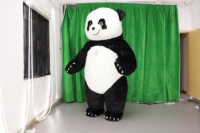 Costume de mascotte gonflable en peluche de panda géant personnalisé unisexe, modèle ancien, pour adultes