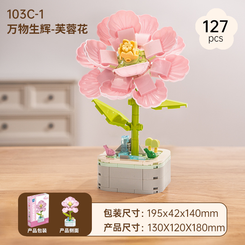Hibiscus Flower