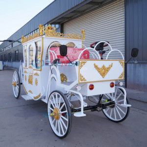 Calèche royale européenne électrique pour photographie de mariage et réception panoramique, la plus populaire, calèche royale à chevaux à vendre - Product Image 1