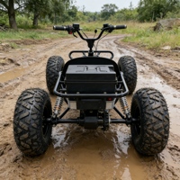 Kart électrique adulte écologique pour activités de loisirs tout-terrain en milieu rural - Le choix idéal