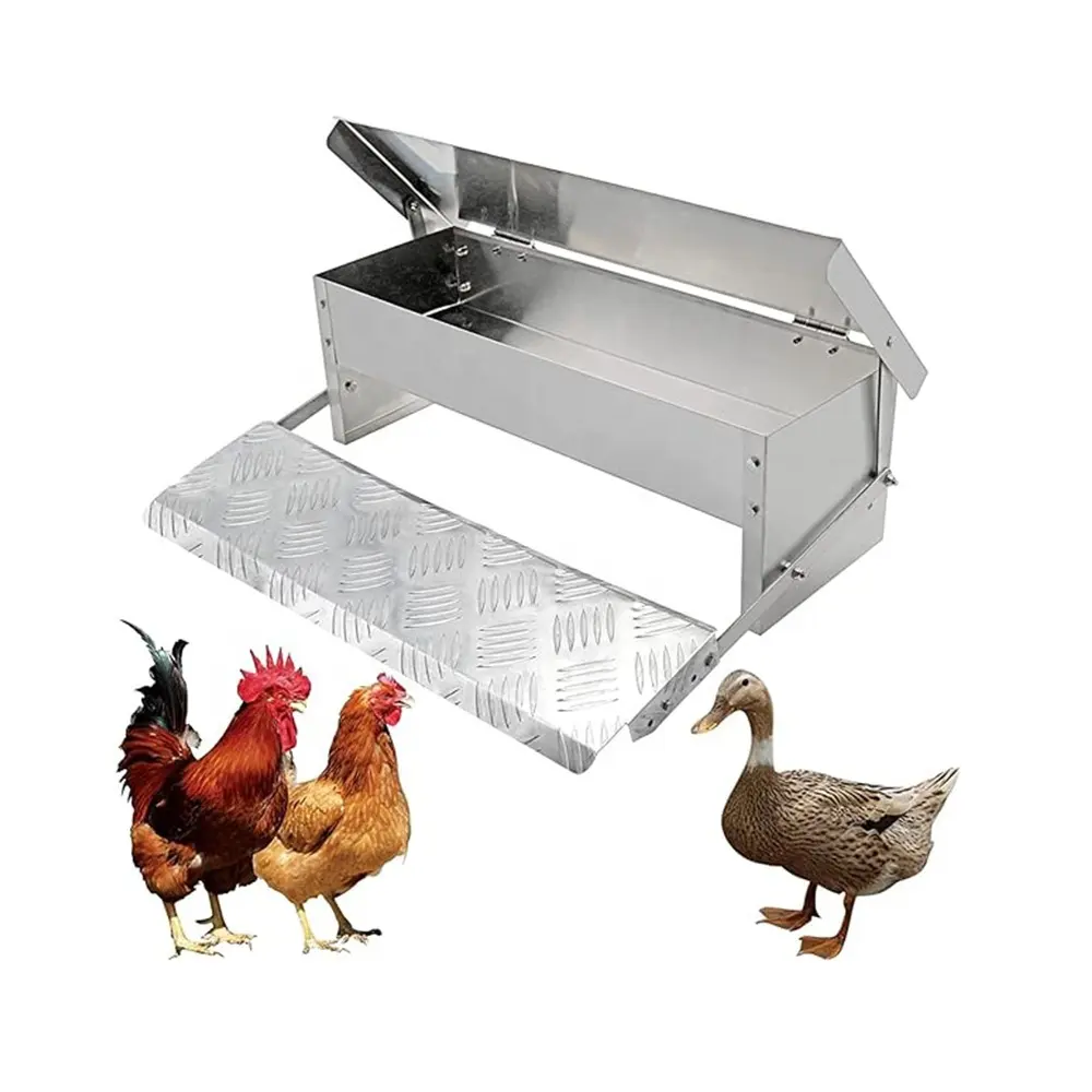 Alimentador de animais personalizado com folha galvanizada automática à prova de ferrugem para aves e frango