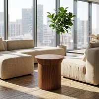 Table de jetée en bois massif Design nordique moderne Table d'appoint en bois pour salon Convient avec des ornements de souche d'arbre