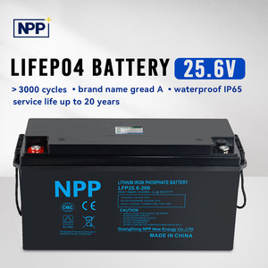 Аккумуляторная батарея NPP Solid State LiFePO4 12В 100-200Ач 1-2.5кВтч с интеллектуальной BMS, 10000 циклов, сертификаты CE/RoHS, гарантия 3 года, для лодок - Product Image 6