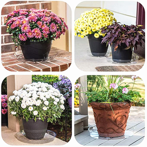 Soucoupes pour plantes claires 18 Pack (6/8/10 pouces) <span class=keywords><strong>bac</strong></span> à <span class=keywords><strong>fleurs</strong></span> égouttoir intérieur extérieur plantes soucoupes de jardin Pot de plantes soucoupe plateau - Product Image 3
