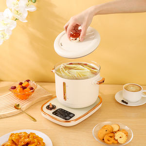 Bouilloire électrique en plastique et ensemble de marmites à vendre, bouilloire multifonctionnelle, ensemble de marmites santé - Product Image 3