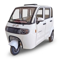 Tricycle Électrique Stable et Durable pour Passagers, Mini Taxi Fermé, Tuk-tuk Électrique, Moto Électrique