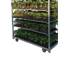 2020 Offre Spéciale danois plante pépinière métal contreplaqué fleur spectacle chariot chariot danois fleur chariot Cc conteneurs pour plantes
